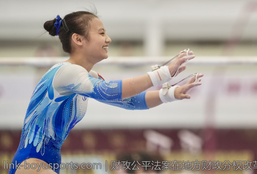 财政公平法案在地方财政分权改革中的作用