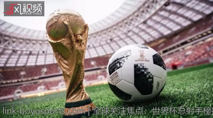 全球关注焦点：世界杯总射手榜排名最新动态